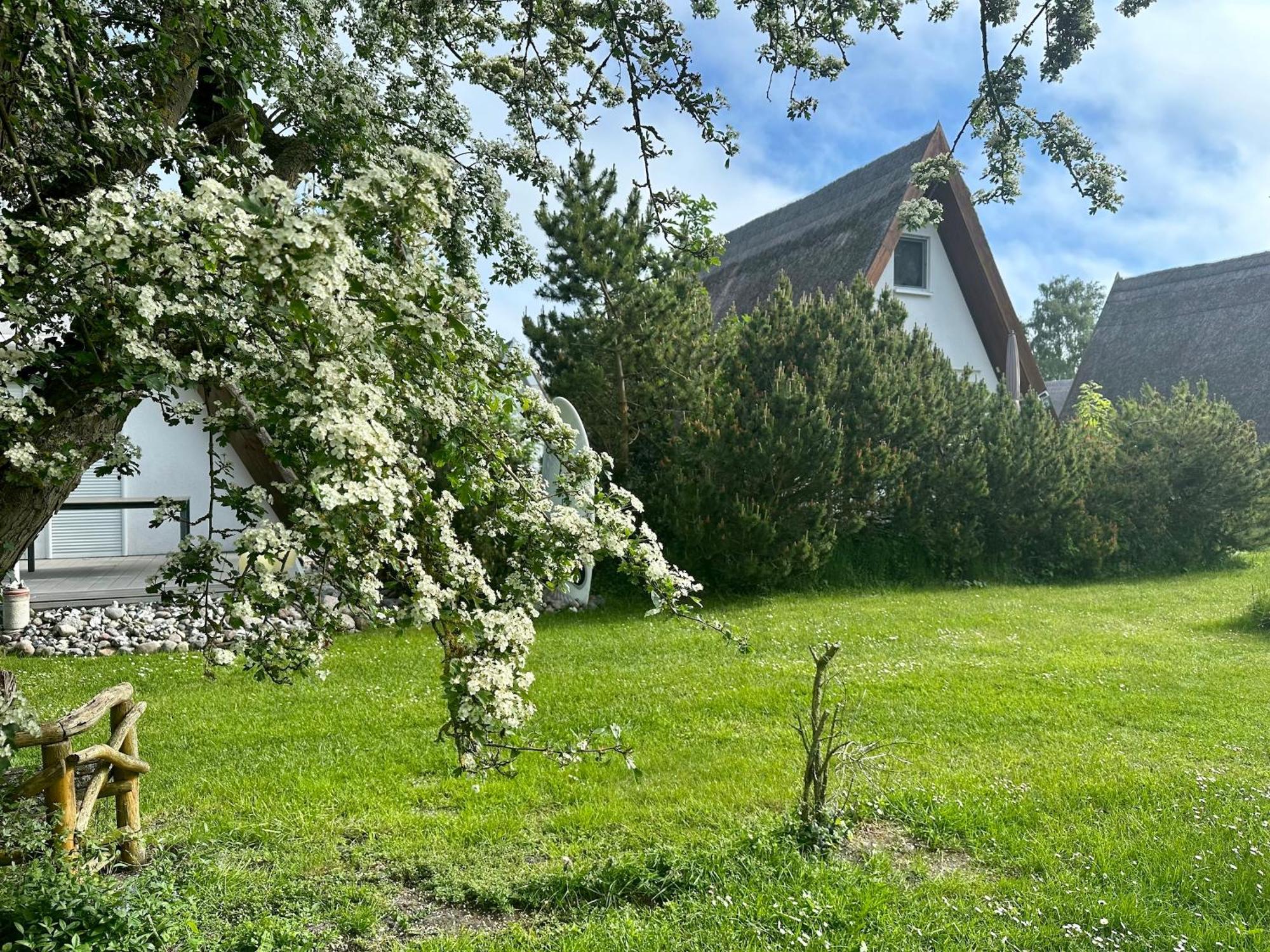 Finnhütte Nr.42 auf Mönchgut Gager Exterior foto